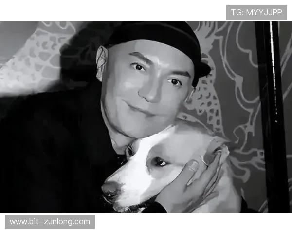 尊龙娱乐数字站用户评价汇总了解平台的真实使用体验